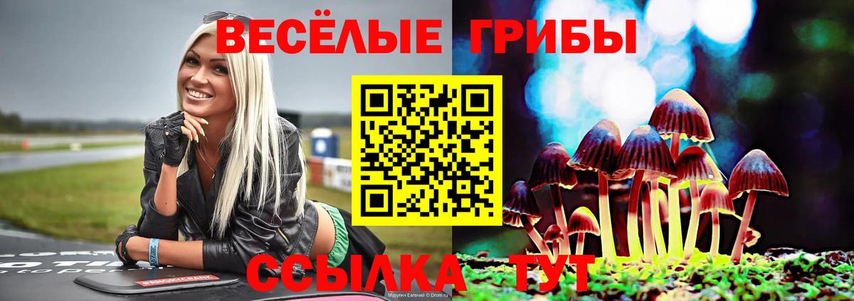 Галлюциногенные грибы мицелий  Галлюциногенные грибы прущие грибы  Фрязино  Вход с VPN 